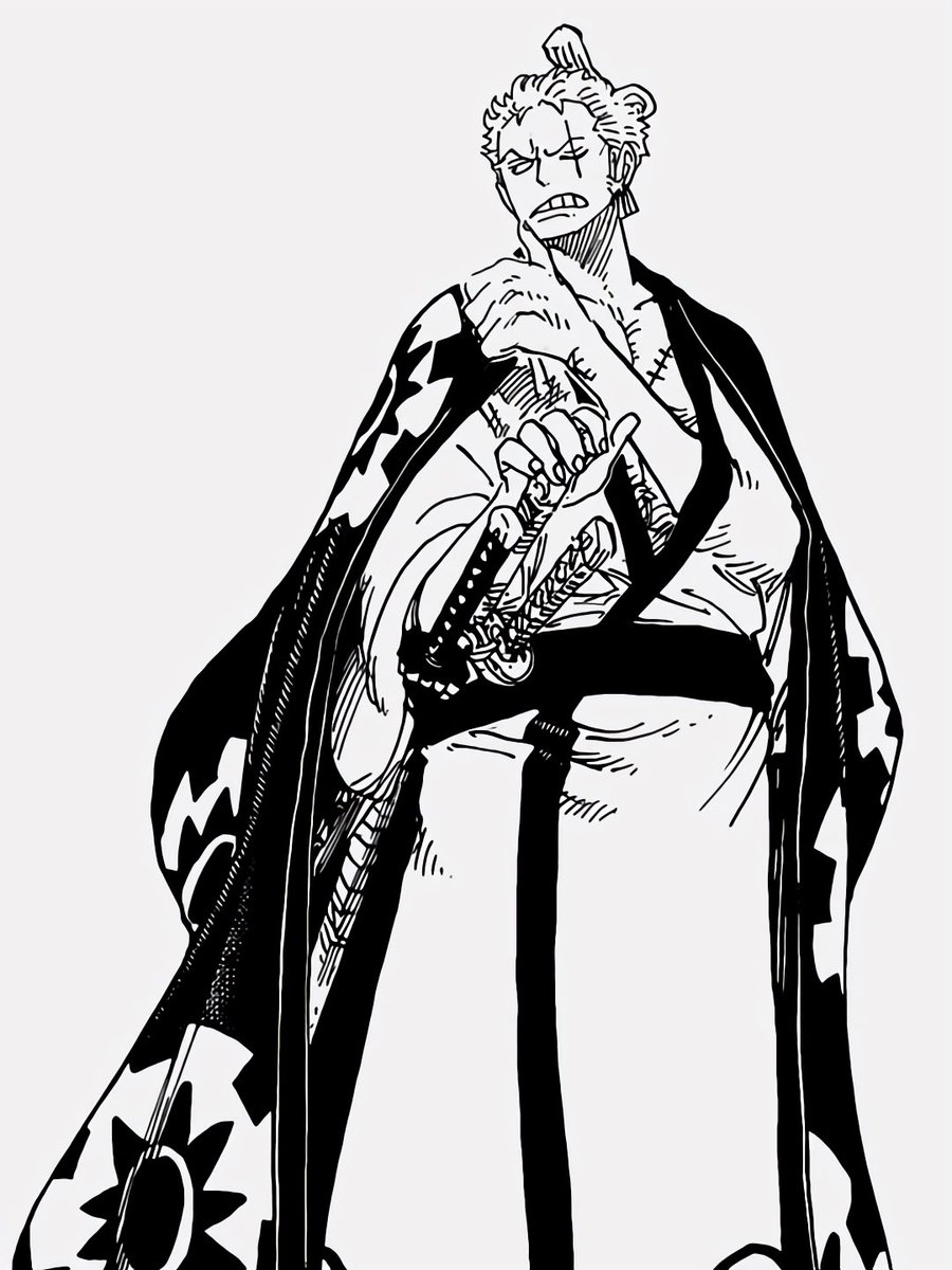 strawhats's tweet photo. Luffy &amp; Zoro https://t.co/lem0iQQ77D