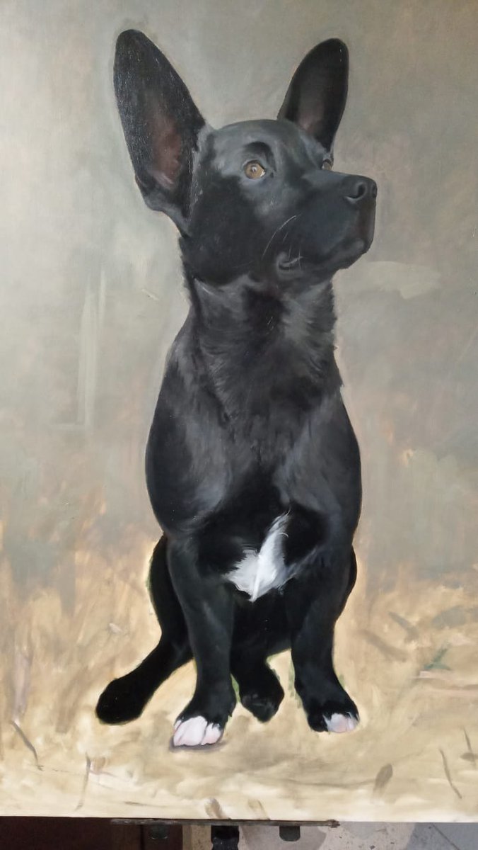 crismalous's tweet photo. @DiloConPerritos éste lo pintó mi hermano https://t.co/KY2ER5Kzzd