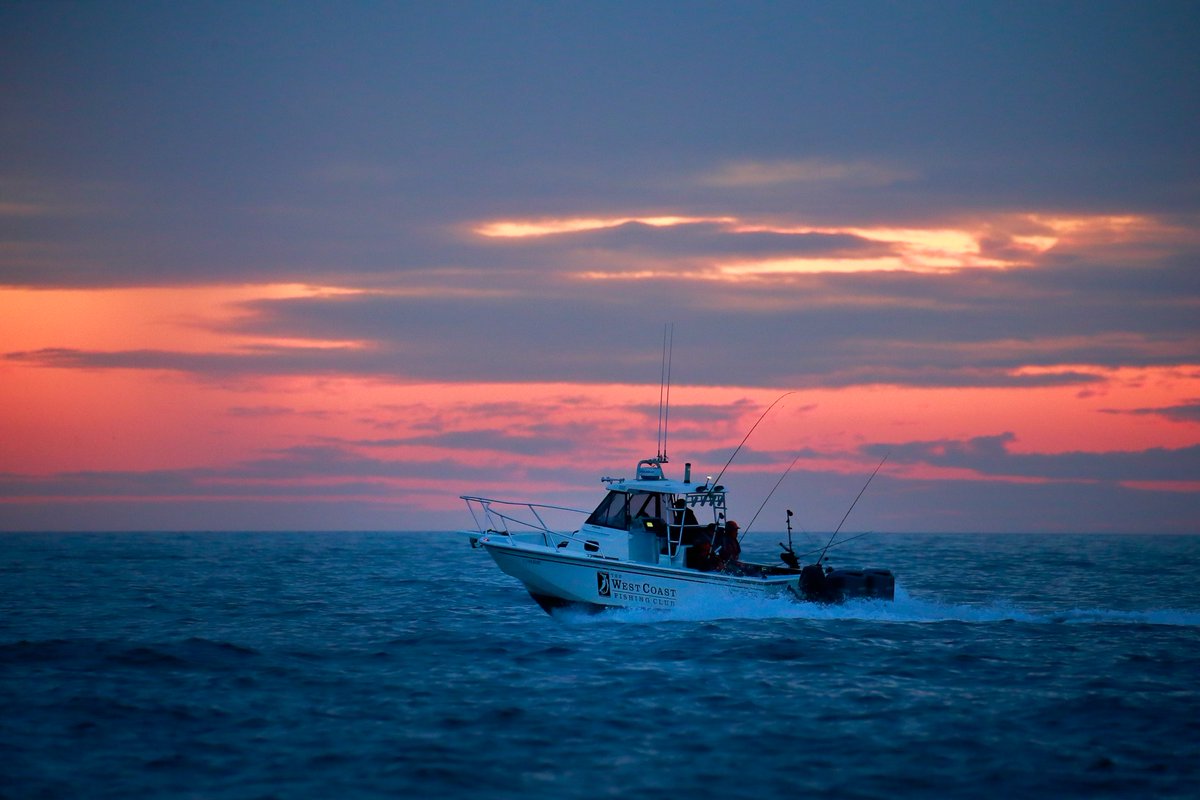 The West Coast Fishing Club tweet media