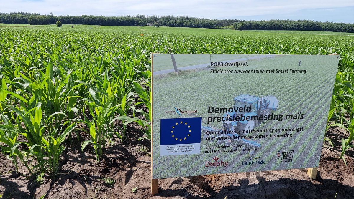 HermanKrebbers's tweet image. Aanleg demo mestbenutting mais met spaakwiel Duport en schoffel-onderzasi-bijmestcombi van loonbedrijf Bouwhuis #drlphy #vko #pop4 overijssel. Sept opbrengst vergelijken