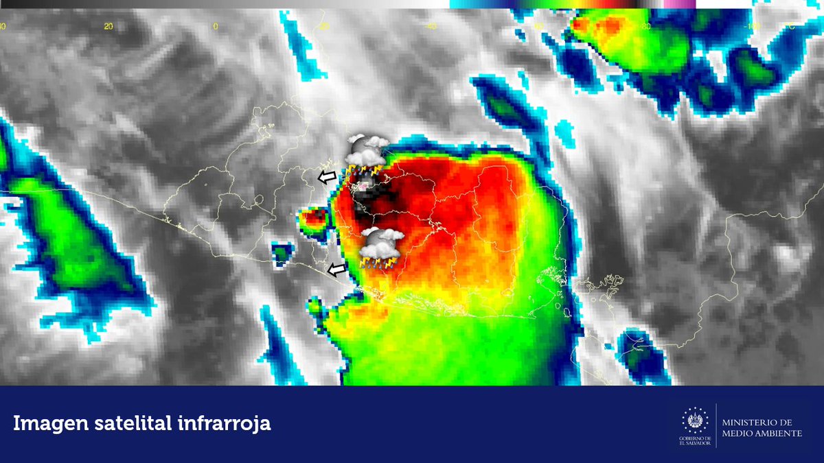 Ministerio de Medio Ambiente tweet media