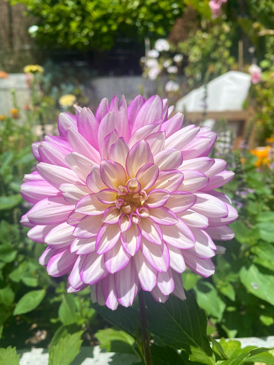Stopping and noticing the beauty. A love language.