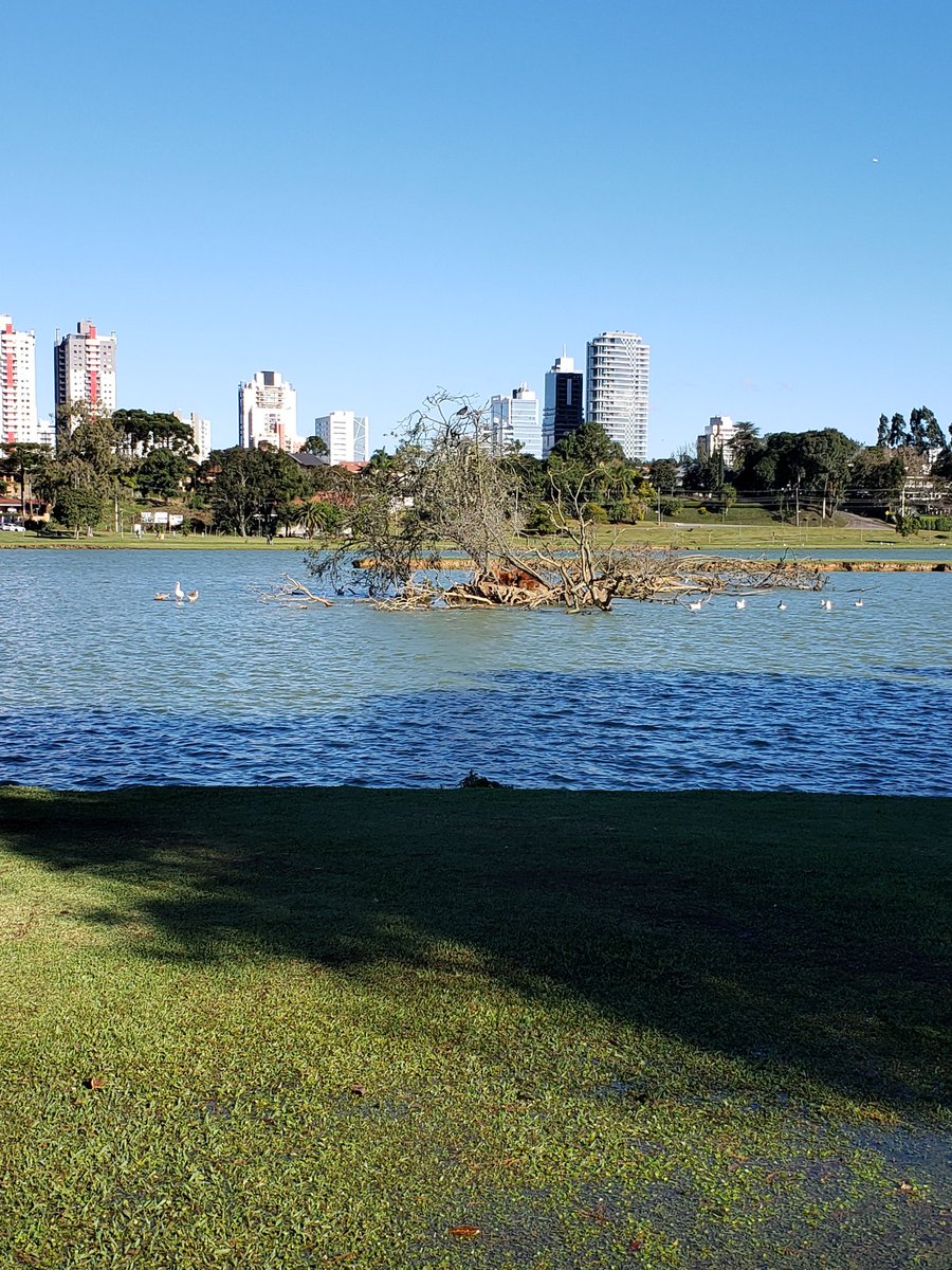 supa_phi's tweet image. 