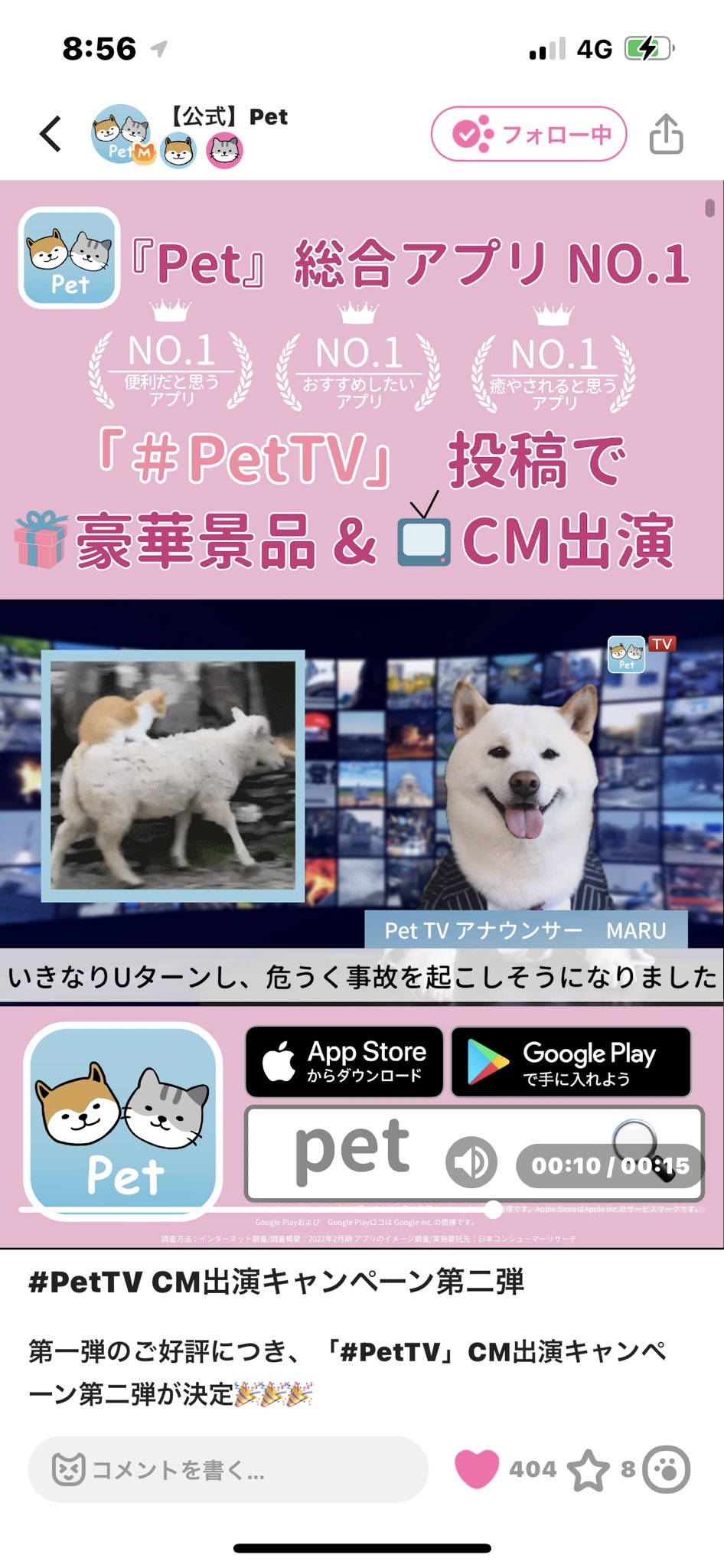 旅犬 モナ王 Cm出演中 ちびプードルyoutuber Gxkbaklulergm5s Twitter