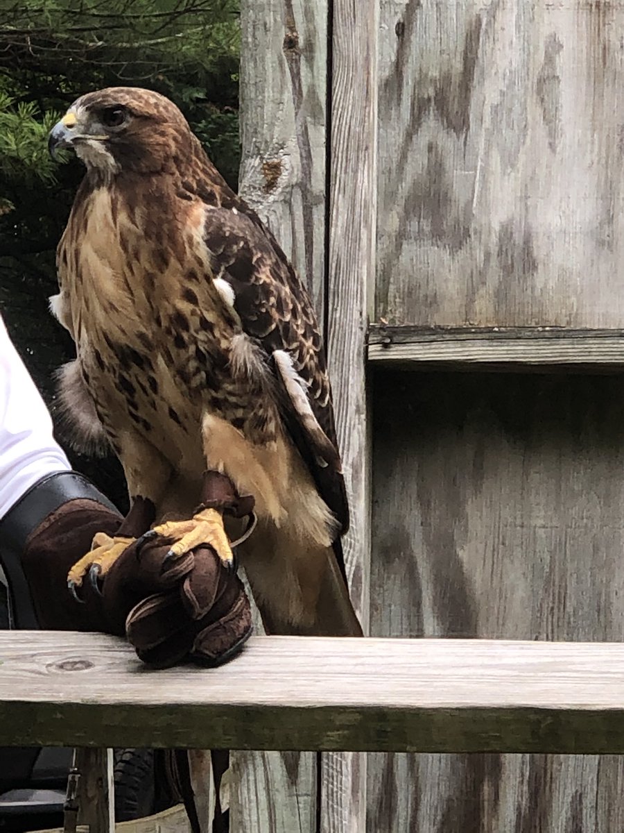 CCPSESOLTeam tweet media