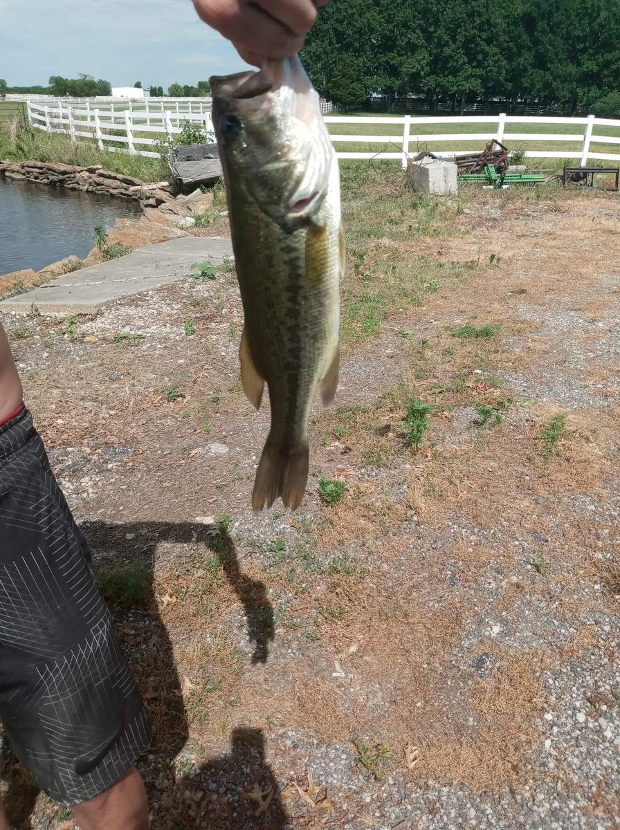 Tok1nn's tweet photo. Gon fishin https://t.co/sRzqqsTNWd