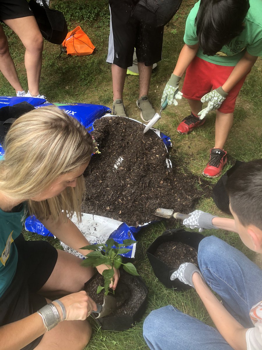 CCPSESOLTeam tweet media