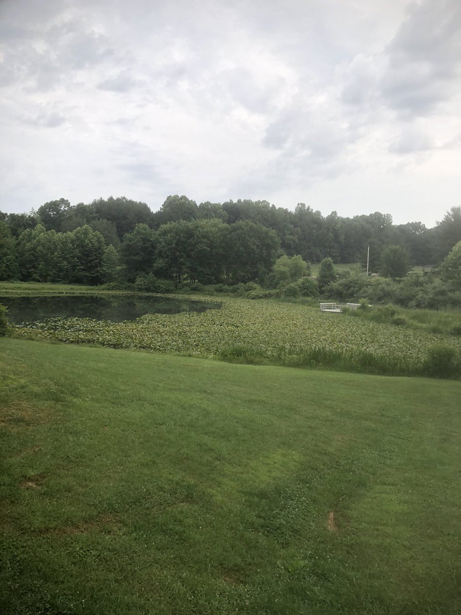 CCPSESOLTeam tweet media