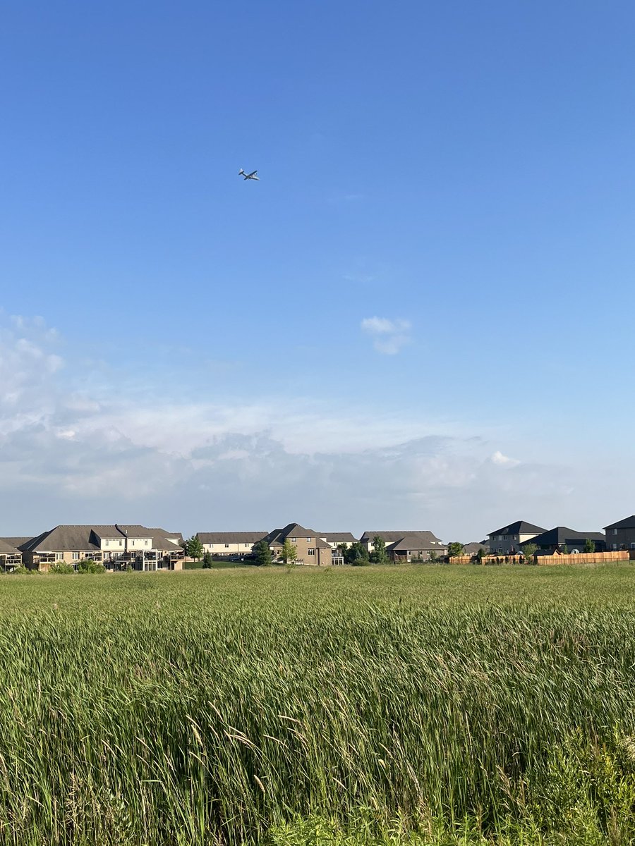 abaskwill's tweet photo. So many #birds on today’s walk around my #NewLocal. Sparrows, swallows, robins, ducks, grackles, crows, finches, mourning doves, red-winged blackbirds… and this #SilverBird ✈️ #GetOutside https://t.co/94918VtqCD