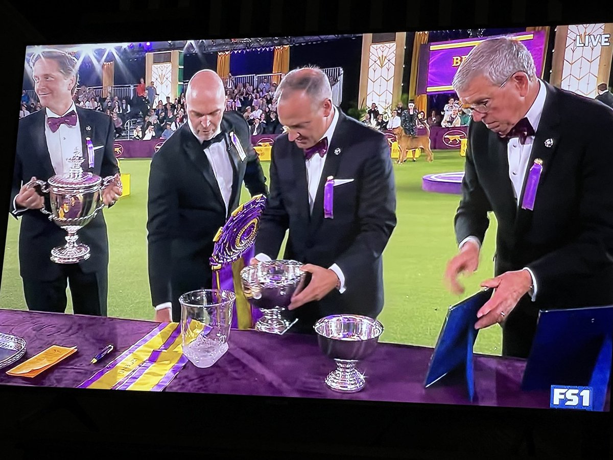 goodnewsforpets's tweet photo. Thrilling to watch the #BIS judge and awarding of trophy and ribbons ⁦@WKCDOGS⁩ #congratulations to all! https://t.co/tVtzu79Yso