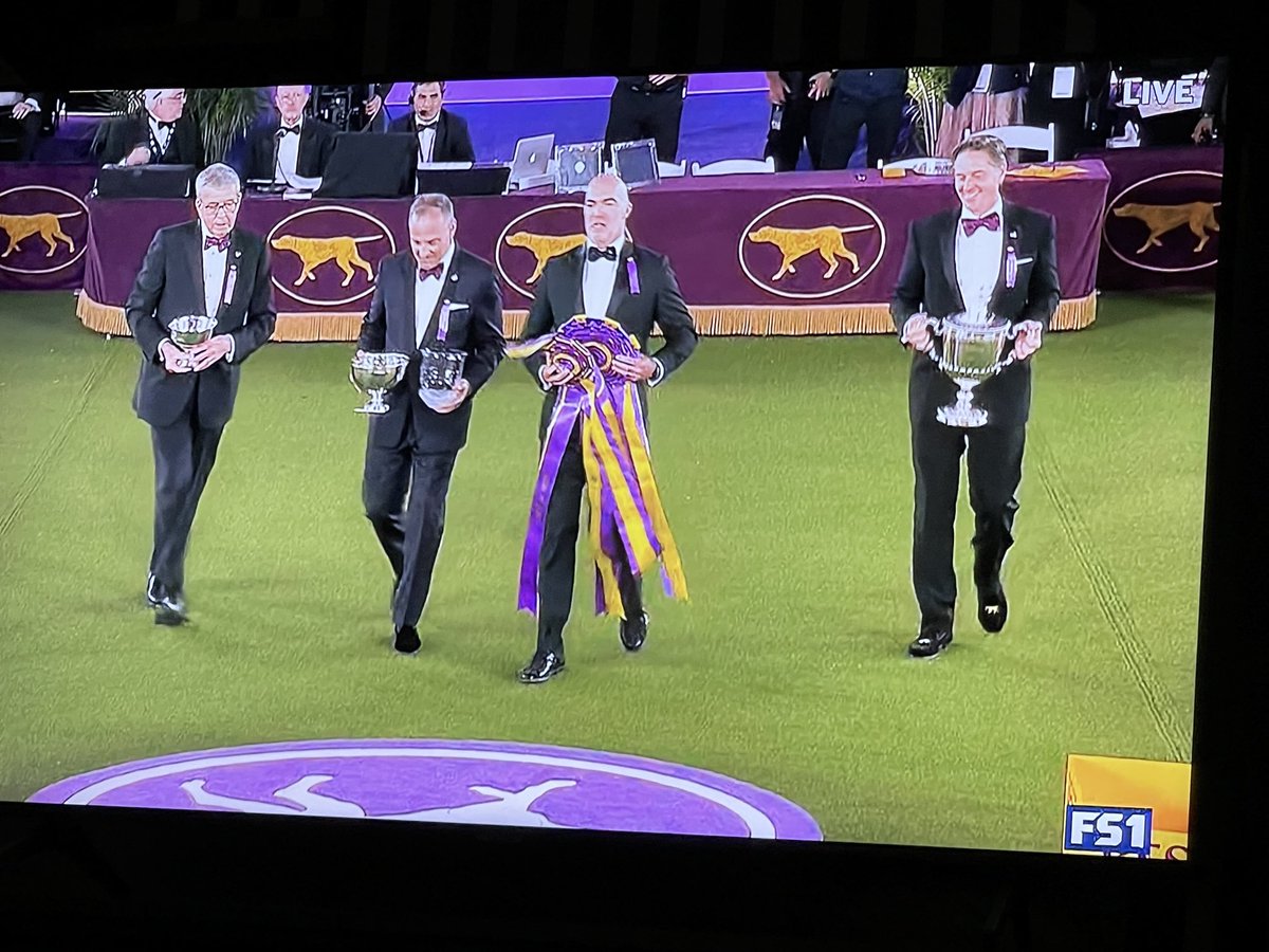 Thrilling to watch the #BIS judge and awarding of trophy and ribbons ⁦<a href="/WKCDOGS/">Westminster Kennel Club</a>⁩ #congratulations to all!