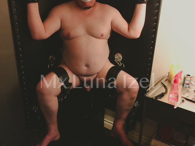 I have so much joi, I mean joy 😏, during CBB and CBT sessions. In general, genitorture is just SO fun