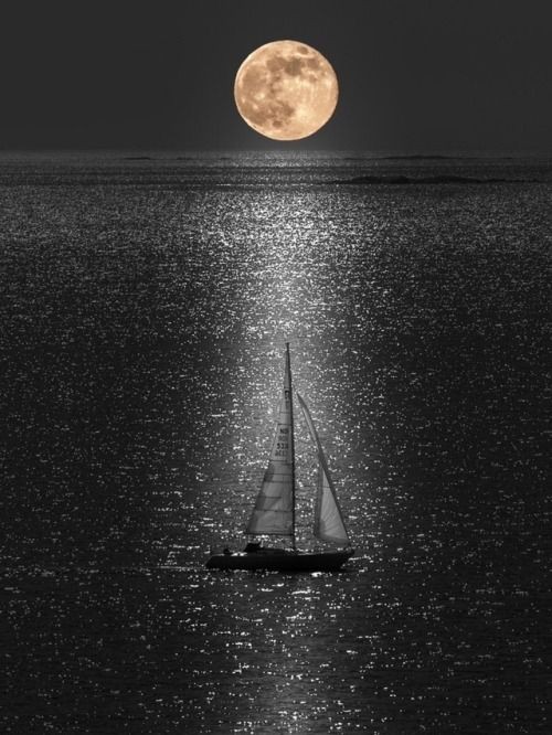 JetteCarole's tweet photo. Bonne fin de soirée...🖤 https://t.co/G21GGfx2Dy