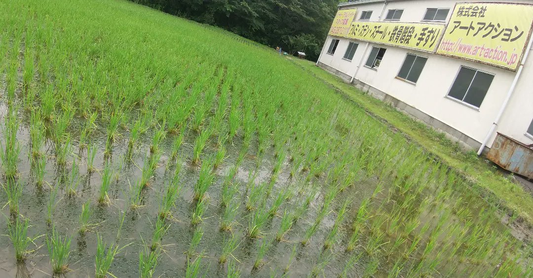 ArtAction3's tweet photo. 田植えはあっという間に終わりましたが。。。

工場はまだまだ製作が続きます👨‍🏭

御覧頂きありがとうございます！

#世界にひとつを創る
#どんどん仕事がしたいんだ
#楽しくなくっちゃ仕事じゃない
#溶接 #架台 #素敵な御客様
 #素晴らしいスタッフ
#手摺 #キャリア #千葉 #埼玉
#アートアクション https://t.co/zzgsAwmupq