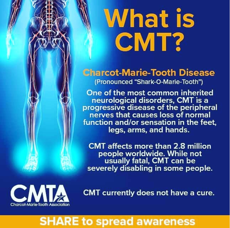 cmtausa's tweet photo. Charcot-Marie-Tooth disease (CMT) is a form of hereditary peripheral neuropathy that can cause progressive loss of sensation and function in hands, arms, legs, and feet.
Learn more: https://t.co/fmVGUk3K4o
#CharcotMarieTooth #CMTawareness https://t.co/aqfEifSj0W