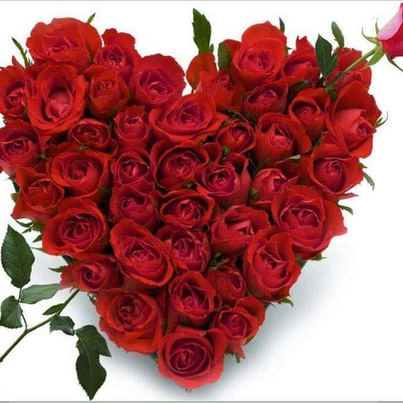 Dickson Charlie (@dickson37936837) on Twitter photo 