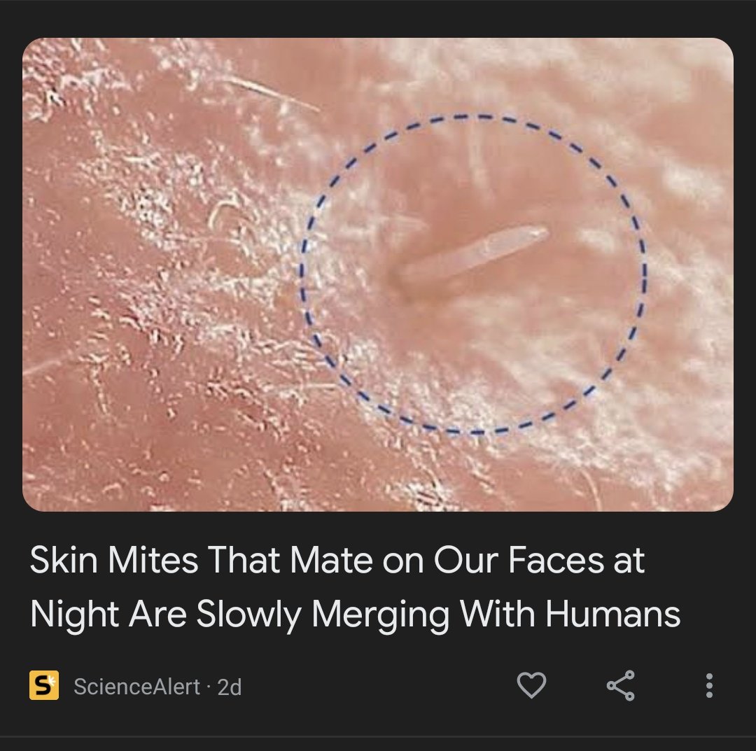 Alokaler's tweet photo. I hate this article. Why @Google, why must you ruin my dinner in this way? https://t.co/vJDBZZ7Ej1
