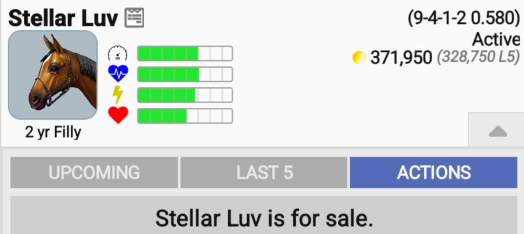 Wooler Road Stables tweet media