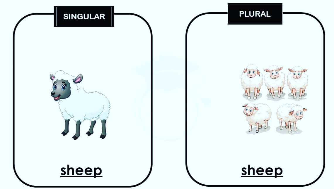 CSStarget's tweet image. #Singular vs #Plural Mistake
.
.
.
.
#english #mistake #grammer #pronunciationmistake #csstarget