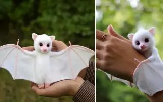 mtmsoft's tweet image. Don’t worry about the vague future, just strive for the clear present.