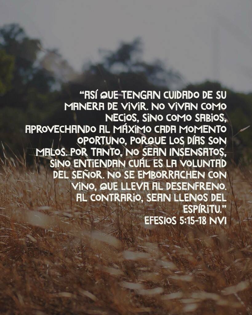 Omar Melendez tweet media