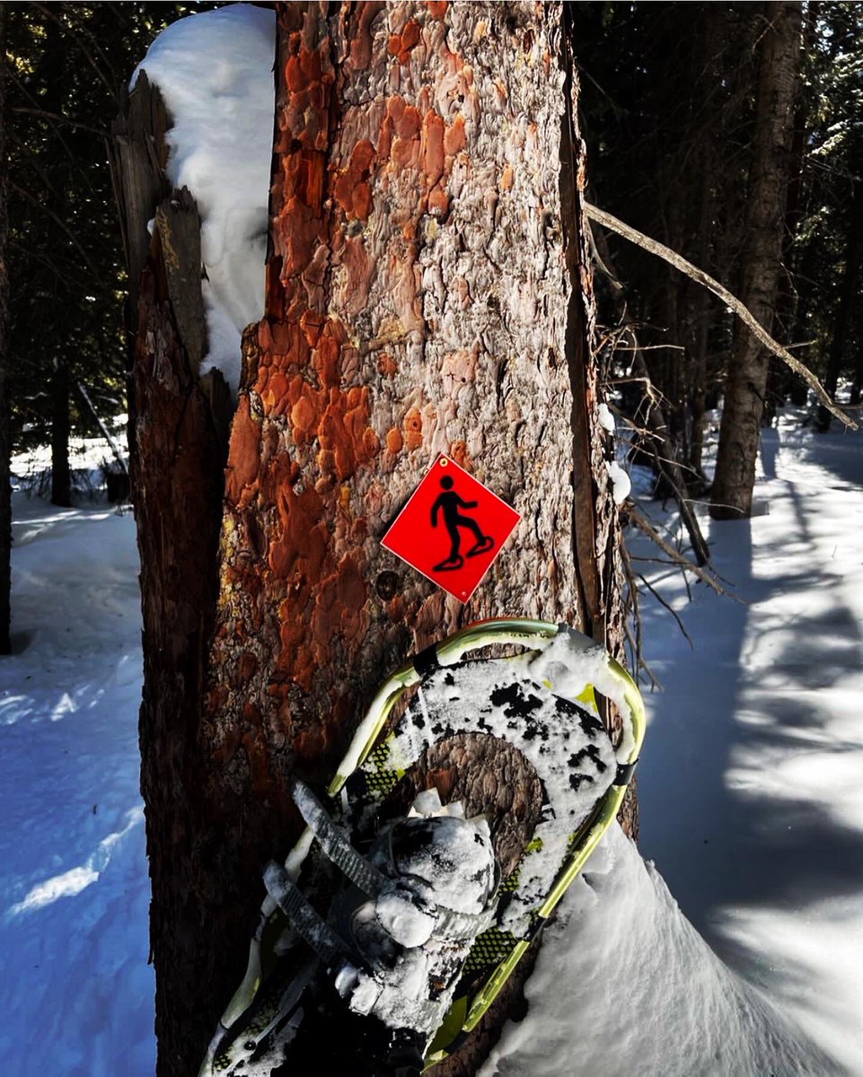 JRStrongFitness's tweet photo. Push your limit! Take my Mountain Challenge and go where you never thought you could!👊🏼🙌🏼

https://t.co/s7h1twc4Hv #JRStrong #JRStrongFitness #WednesdayMotivation #exercise #personaltraining #hike #greatoutdoors 
#Colorado14er #Colorado #ColoradoRockies #Climbers #PikesPeak #14er https://t.co/PCcV4iFCii