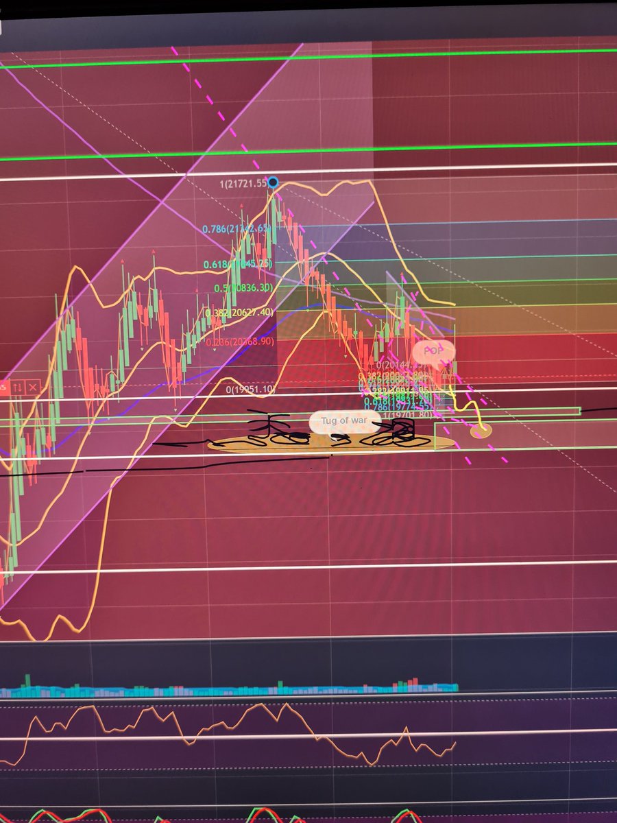 Can't believe my eyes x