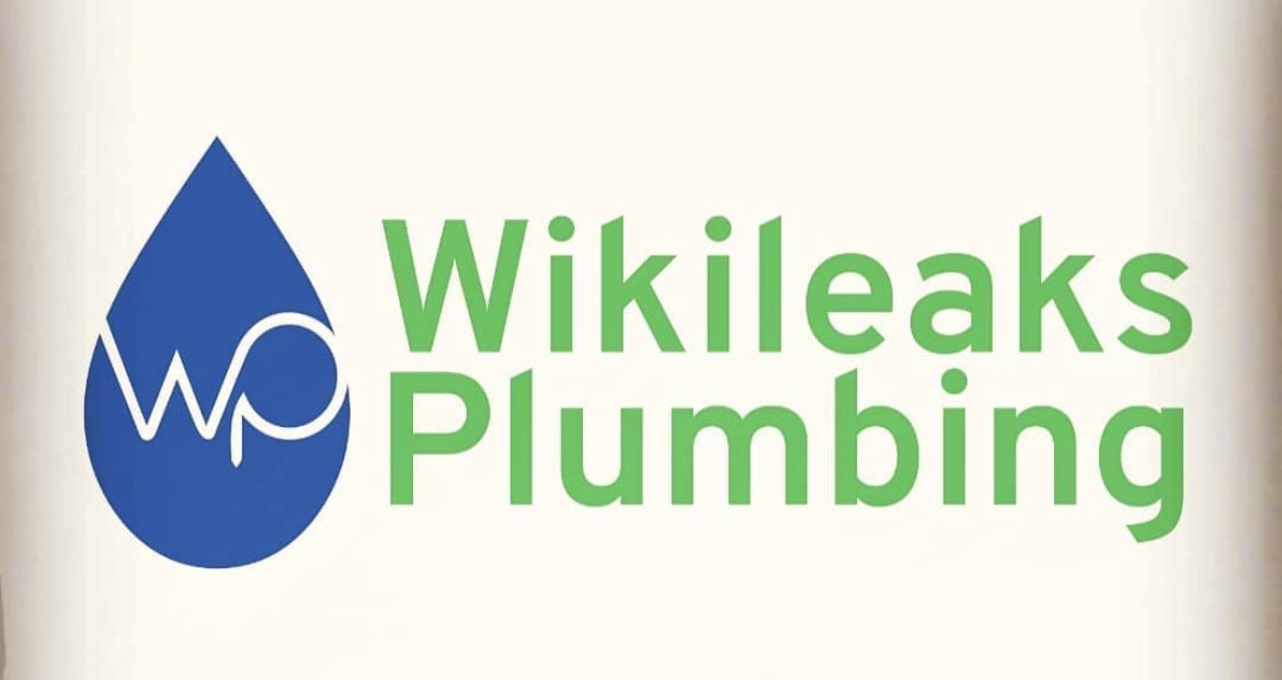 Plumber’s a 9, but then names their business Wikileaks