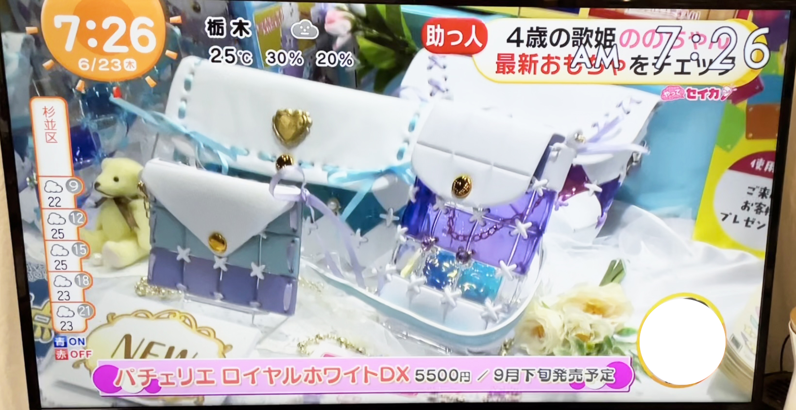 ❖パチェリエ公式❖ on X: 