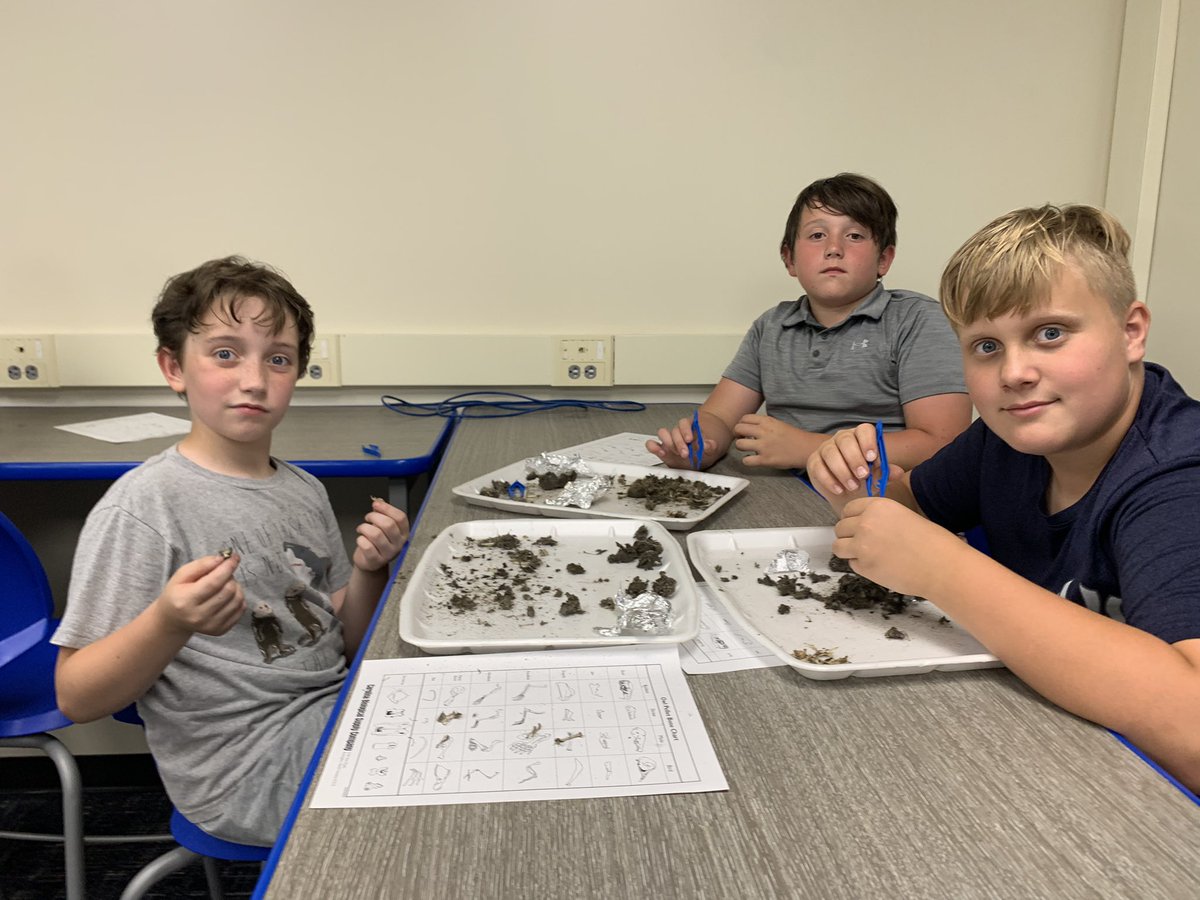 Amy Dobbertin tweet media