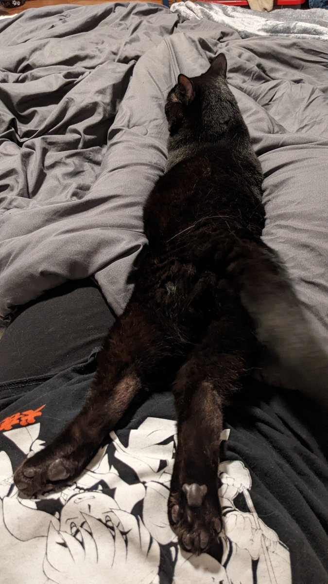 psychokitty121's tweet photo. Don't ask.... https://t.co/iWqUoRxjWM