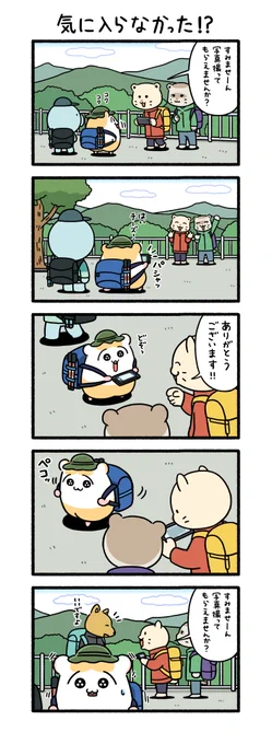 気に入らなかった⁉

#ちこまる 