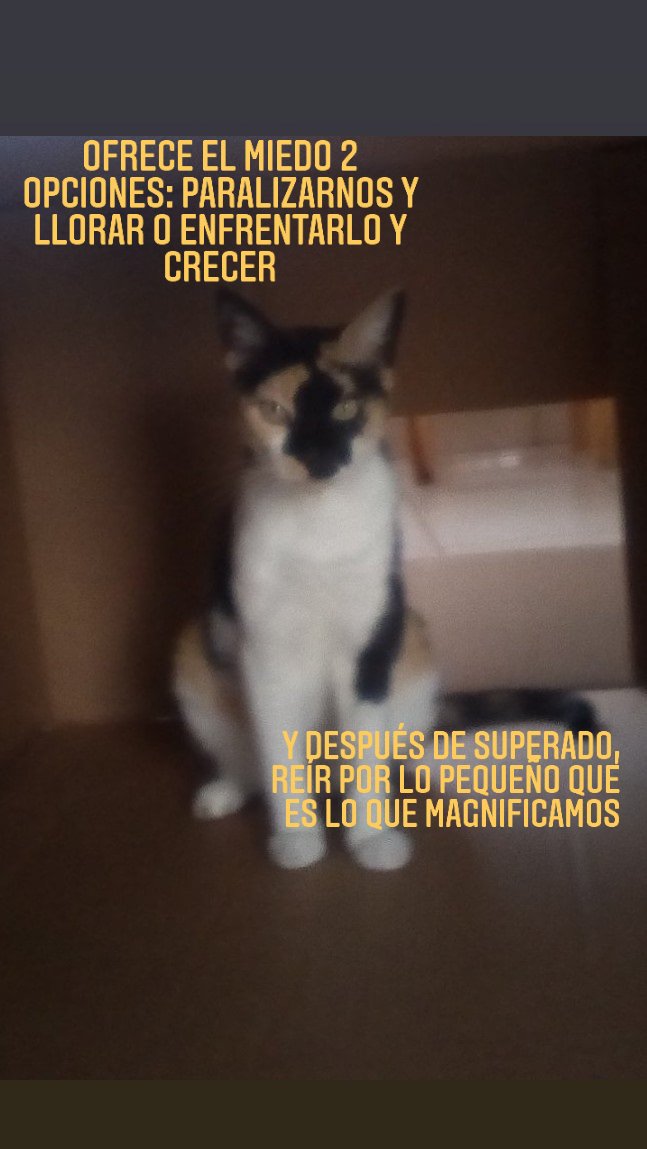 arcanopolitico's tweet image. Tengo #miedo, dije y la #oscuridad rió a carcajadas. Cuándo llegó la luz también me uní a la Fiesta de la #Carcajada.