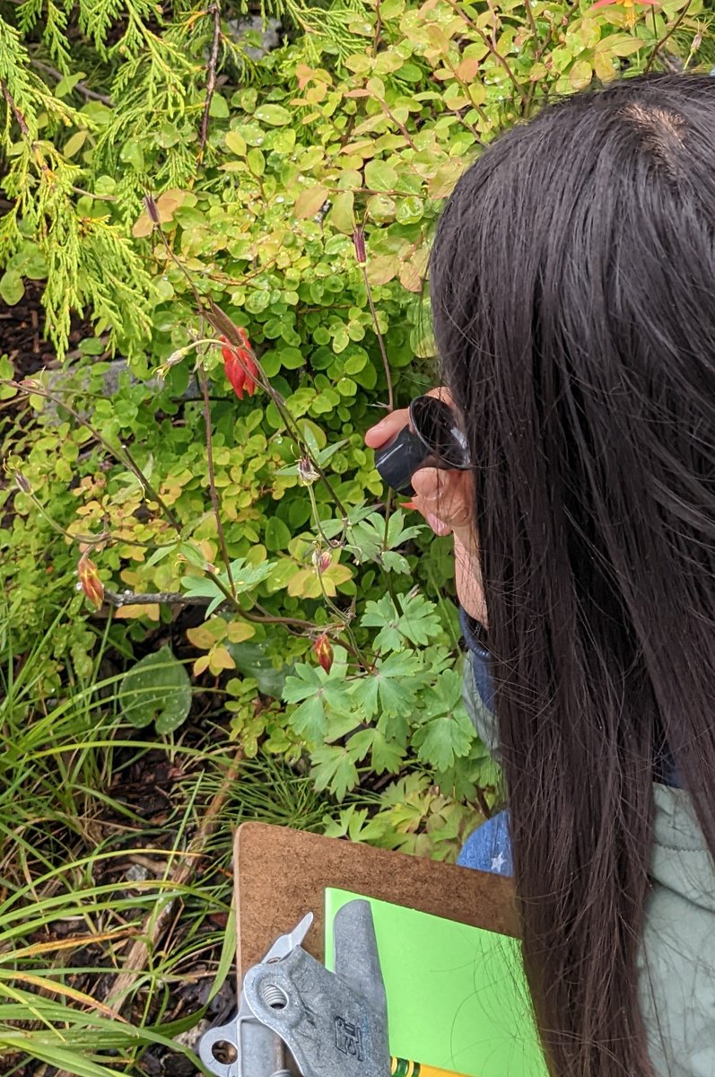 christiansonj15's tweet photo. SNEP Culture Camp is back! This week kids are creating sentence stories in #Lingit to share w/stop-motion animation. Day 1: exercising our Observer Eyes & recording textures of nature. #sitkanativeeducationprogram @SitkaTribe #sitkaschools #youthculturalheritage @Arts4Alaska https://t.co/zK7GWHFsHR