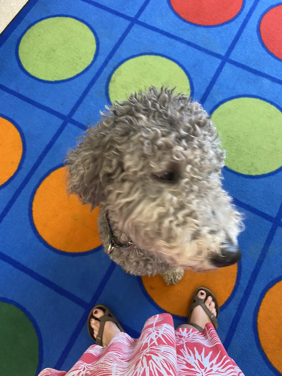 FssdMattie's tweet photo. I was so happy to be back with kids today!! I visited one of our summer learning programs that we have going on in FSSD!! It was the best day! https://t.co/7Oq62pkLlw