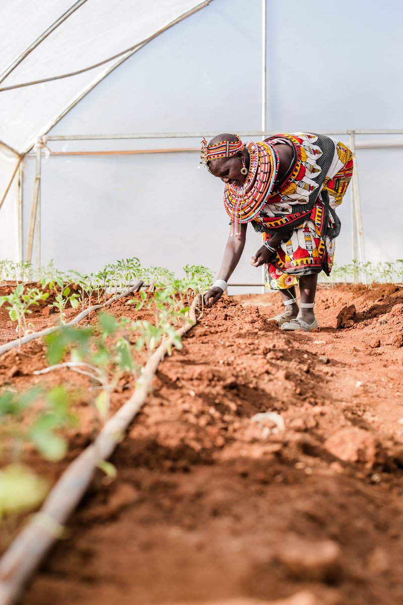 WithMyOwn2Hands's tweet photo. Our partner communities use the revenue generated from our #CleanWater &amp; agriculture solutions to invest in:

🌱 More income-generating projects
💰 Micro-loans
📚 Education
🔨 Operating costs https://t.co/1Rzm8pDiCc