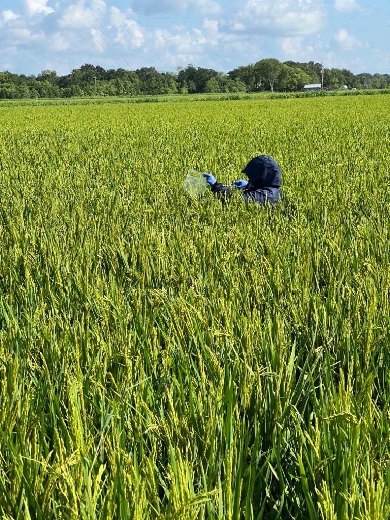 Jobelle Bruno tweet media