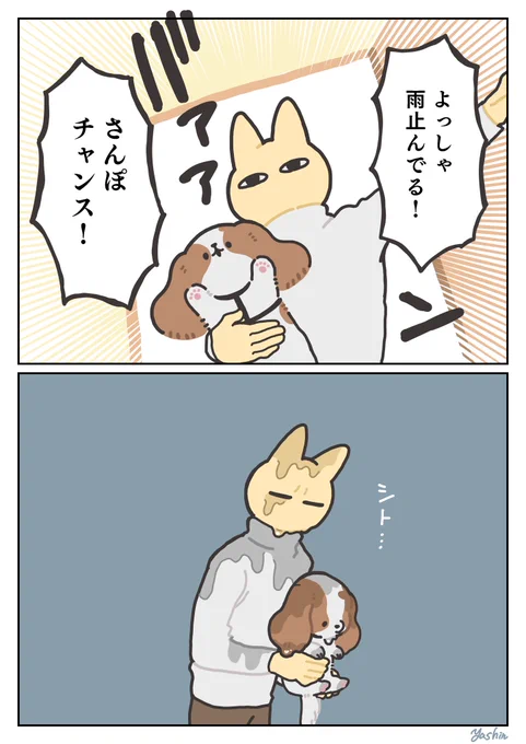 犬日記 梅雨時 
