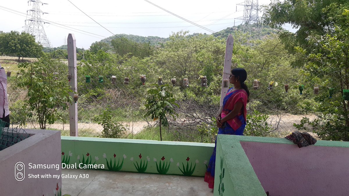 swachhasiddipet's tweet photo. Sarpanch of GP Kistapur, Chinnakodur mandal,Siddipet, dedicatedly involves to promote #sanitation , under her leadership the village compost shed decorated with flower plants in #usedplastic bottles. @swachhbharat @TSSBMG
@AcSiddipet https://t.co/wCC04Wyh4z