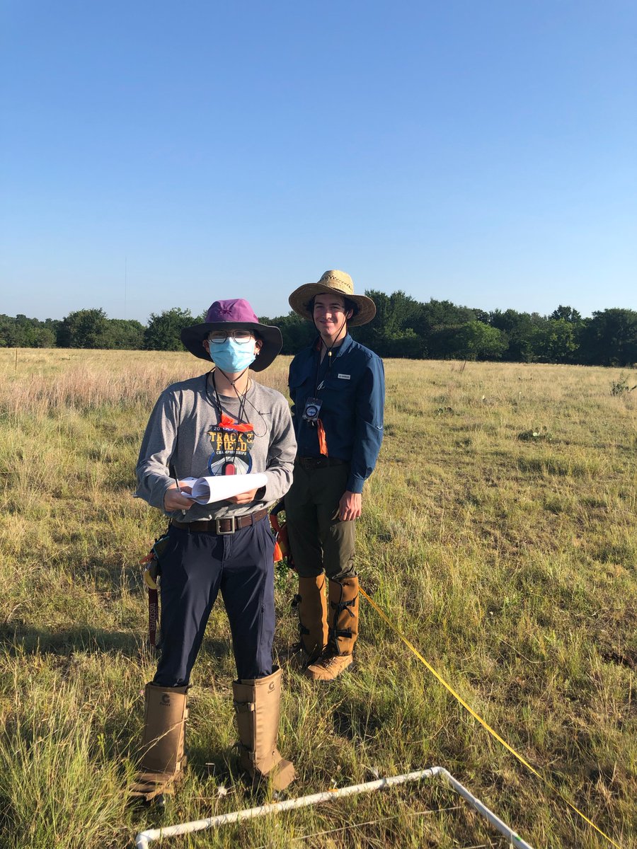 We also quantify flower diversity and availability, and ground cover to measure food and shelter resources. Lab manager <a href="/larutaylor/">Laura Taylor</a> and undergrad @IEastland (and last summer <a href="/RichterBrand/">Brand Richter</a>) use quadrats along transects to do this. 📷<a href="/dstrbd_ecology/">Shannon Collins</a> 4/7