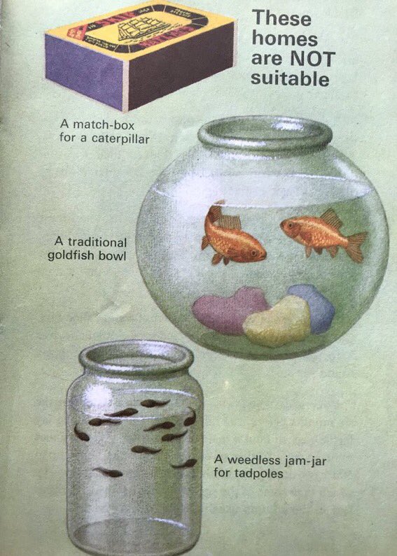 Ladybird wisdom I do feel Ladybird barely scratched the surface of this topic #RonaldLampitt (1972)