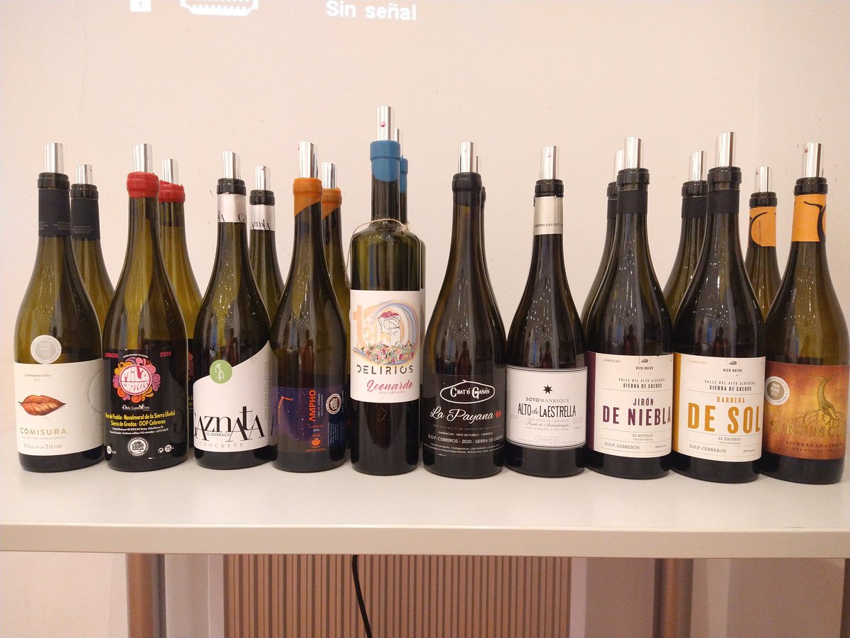 Misma uva, distintos estilos, distintos paisajes. Grande <a href="/VinosdeCebreros/">D.O.P. Cebreros</a> #GarnachaLovers <a href="/UECatadores/">Unión Española de Catadores</a>