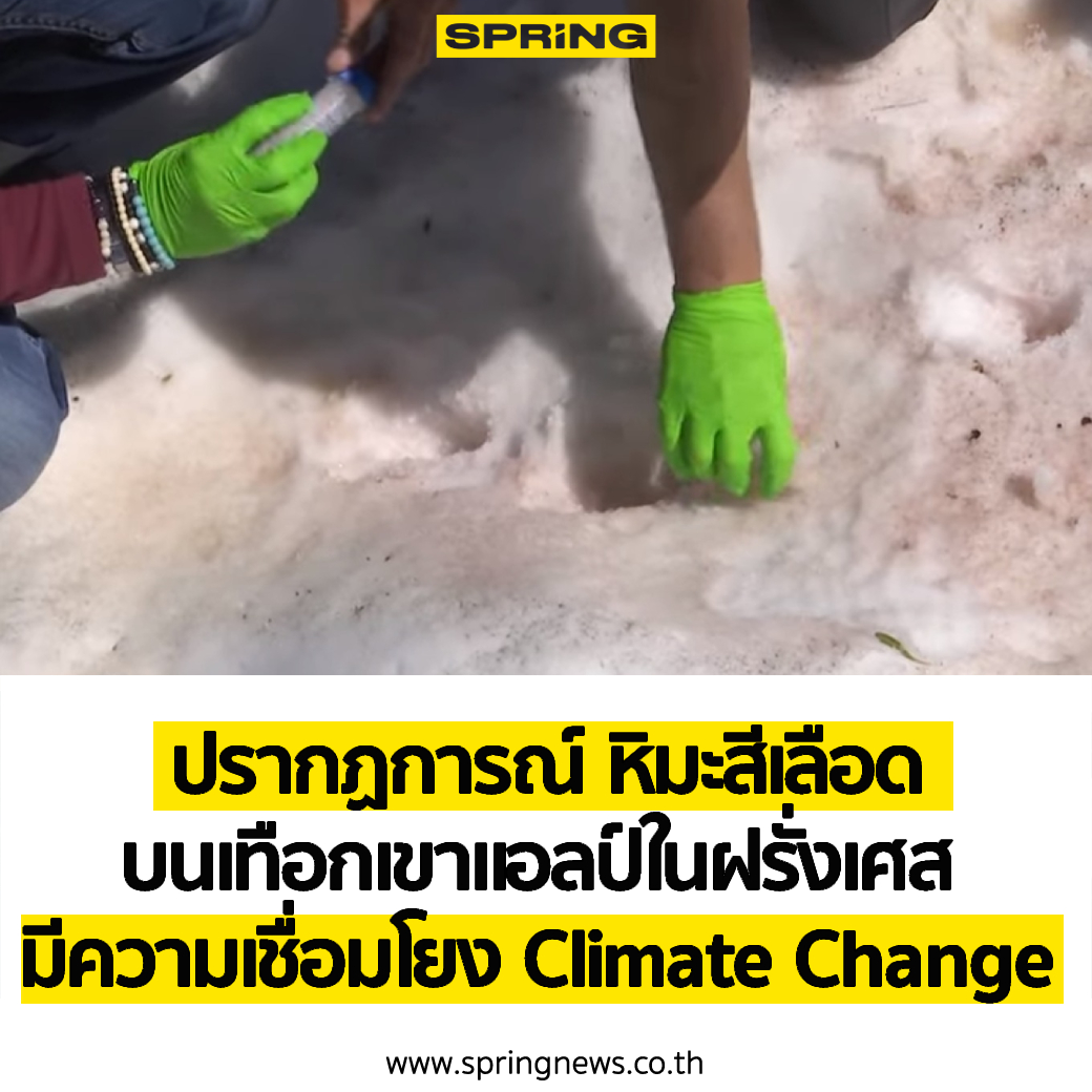 SPRiNGNEWS_TH's tweet photo. เวลานี้ที่ยุโรป บนเขา เทือกเขาแอลป์ มีการศึกษา เกี่ยวกับ หิมะสีเลือด หรือ Snow blood และเรื่องนี้ น่าจะมีความเกี่ยวข้องกับ Climate change อย่างปฏิเสธไม่ได้
#SPRiNG #หิมะสีเลือด #Snowblood #ClimateChange #โลกร้อน #ภาวะโลกร้อน #Keeptheworld 
https://t.co/aXMMSsfPGT https://t.co/my0WT5ReBM