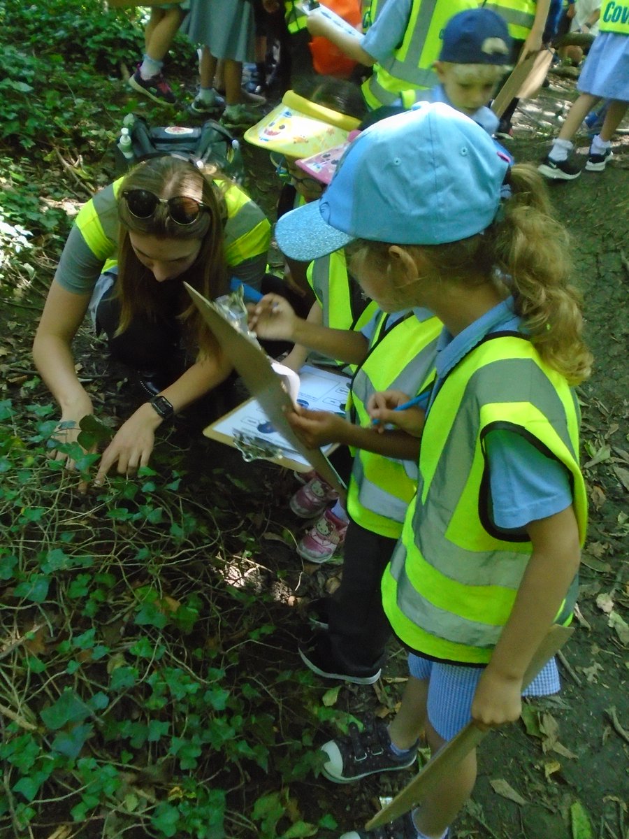 Oak Learning Zone tweet media