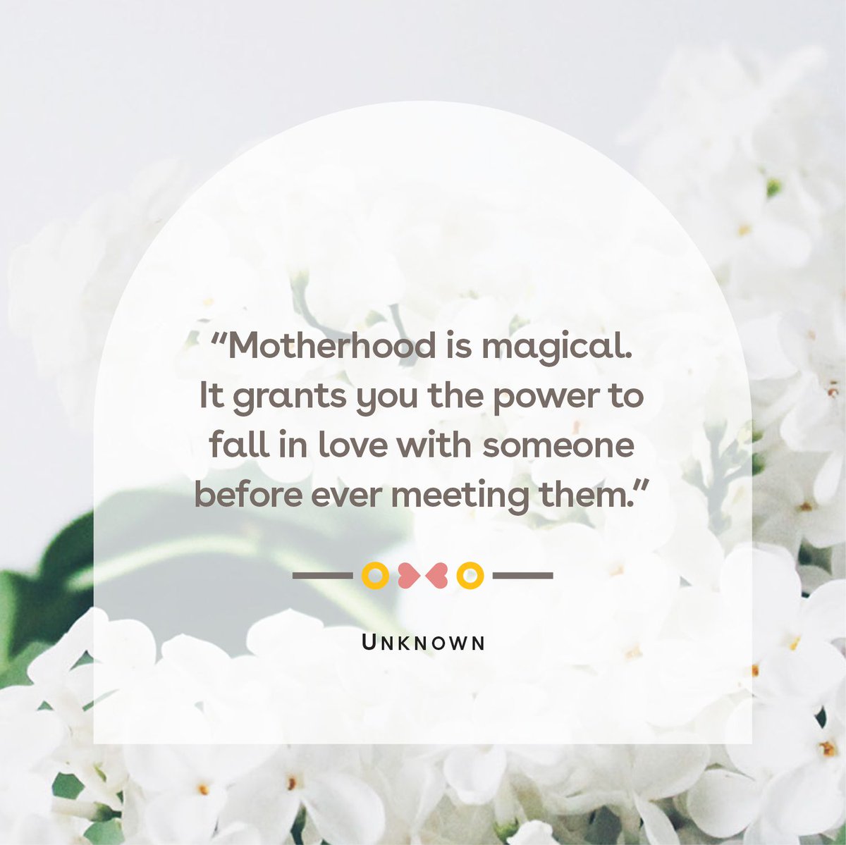 fernandezhospit's tweet photo. “Motherhood: All love begins and ends there.” —Robert Browning
#mother #love #family #motherhood #momquotes #quotes #baby #momlife #mama #kids #fernandezfoundation #fernandezforyou #builtforbirthing https://t.co/7PnLhcgL4K