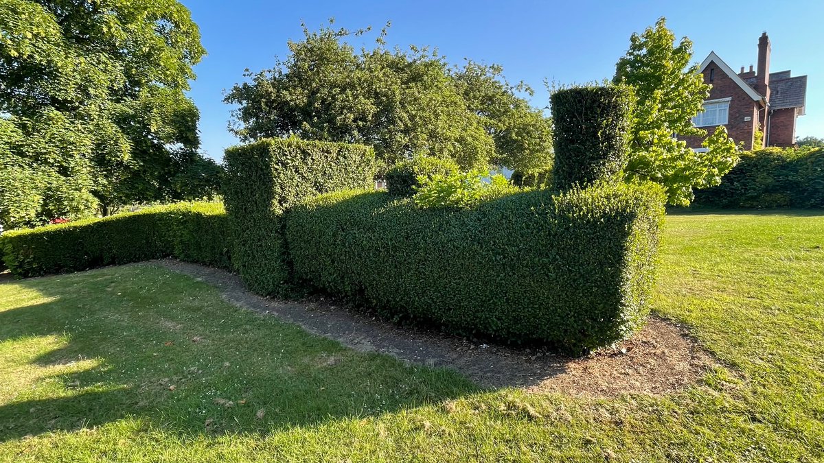 Our wonderful <a href="/Leic_hospital/">Leicester's Hospitals</a> gardeners have been out again 👏