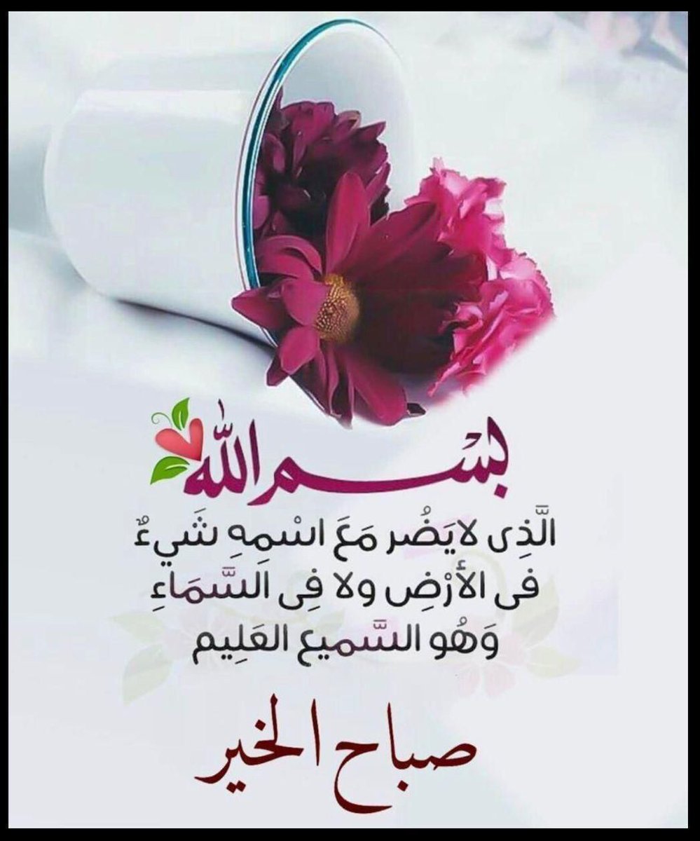 braq498's tweet image. 