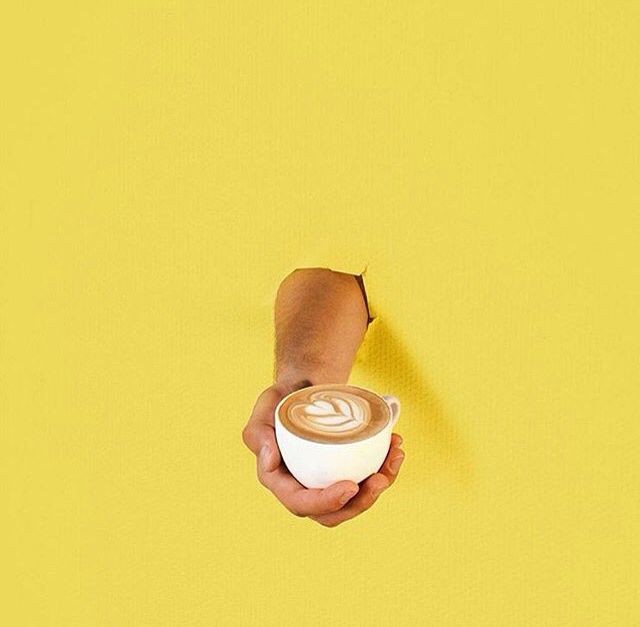 coffeestalks's tweet photo. Morning fellas https://t.co/qZolKwTe0e