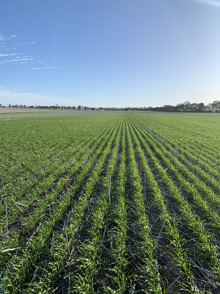 Biz Minhard tweet media