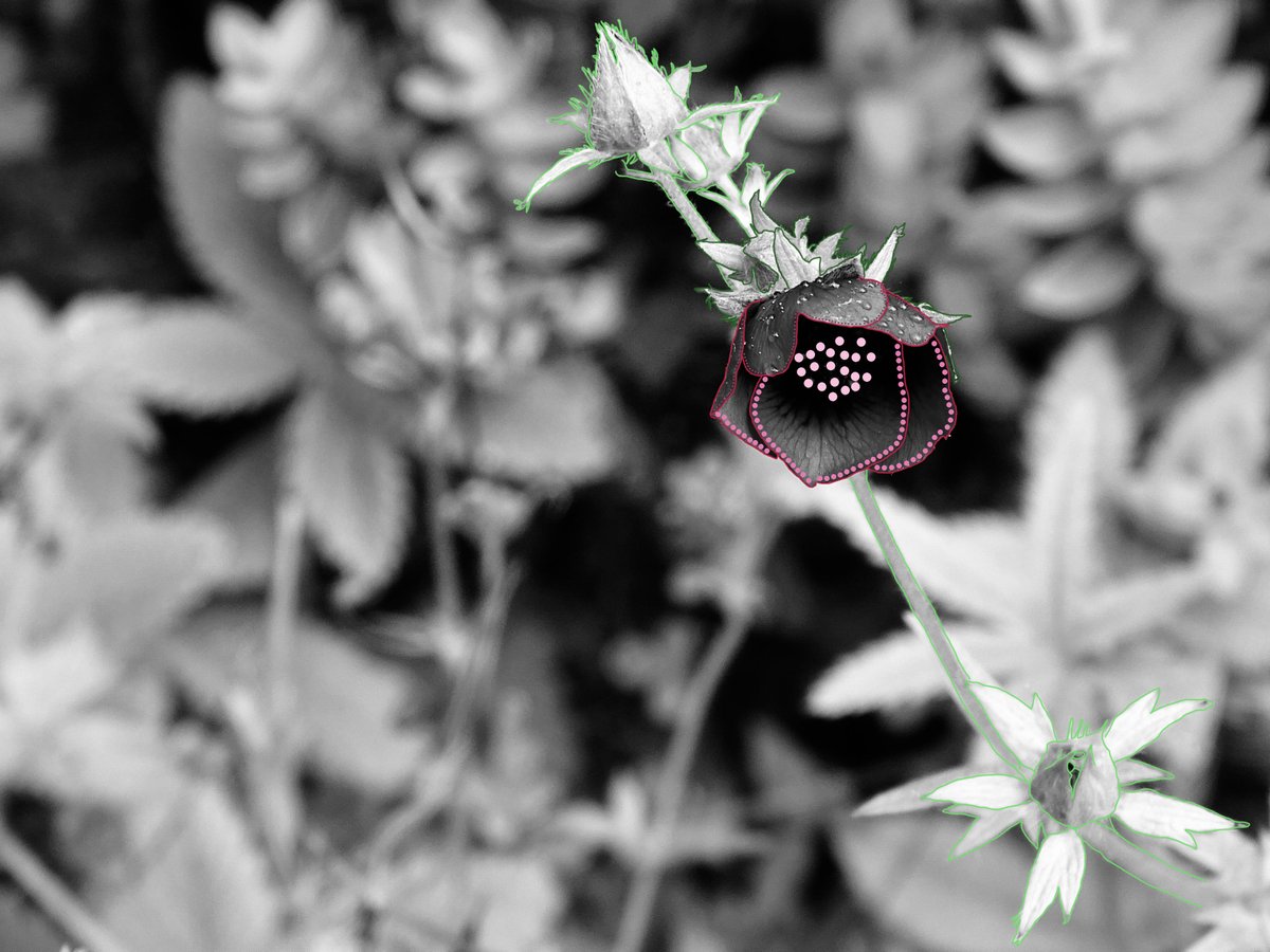 Gm all you crazy NFT people☀️☕️

Let's have an amazing Thursday🌸💗